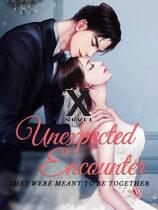 Unexpected Encounter:They Were Meant To Be Together