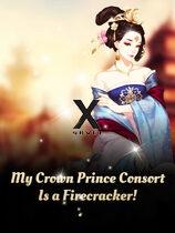 My Crown Prince Consort Is a Firecracker!