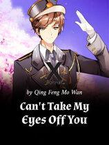 Can't Take My Eyes Off You (WN)